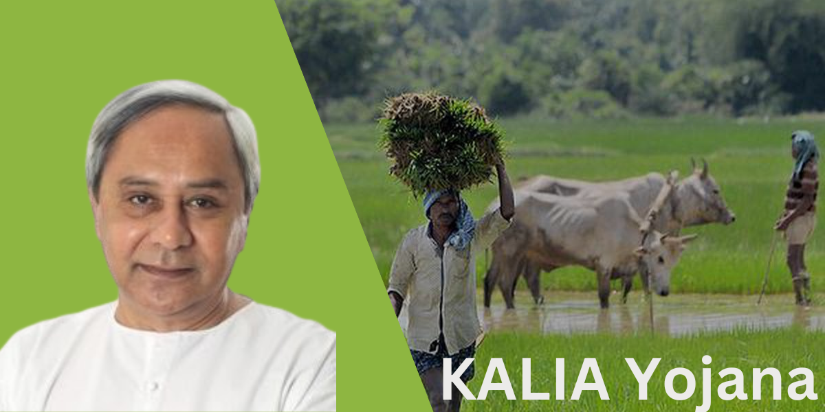 KALIA Yojana: Transforming the Lives of Farmers in Odisha